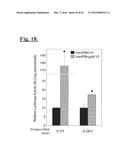 TARGETING TRASTUZUMAB-RESISTANT HER2+ BREAST CANCER WITH A HER3-TARGETING     NANOPARTICLE diagram and image