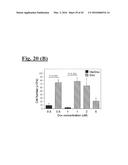 TARGETING TRASTUZUMAB-RESISTANT HER2+ BREAST CANCER WITH A HER3-TARGETING     NANOPARTICLE diagram and image