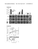 TARGETING TRASTUZUMAB-RESISTANT HER2+ BREAST CANCER WITH A HER3-TARGETING     NANOPARTICLE diagram and image