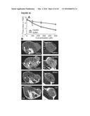 TARGETING TRASTUZUMAB-RESISTANT HER2+ BREAST CANCER WITH A HER3-TARGETING     NANOPARTICLE diagram and image