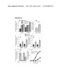 TARGETING TRASTUZUMAB-RESISTANT HER2+ BREAST CANCER WITH A HER3-TARGETING     NANOPARTICLE diagram and image