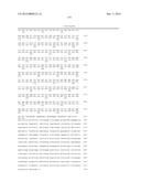 ZCYTOR17 HETERODIMERIC CYTOKINE RECEPTOR diagram and image