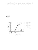 COMPOSITIONS AND METHODS FOR BINDING CYSTEINYL LEUKOTRIENES (CYSLTS) FOR     TREATMENT OF DISEASE diagram and image