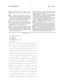 COMPOSITIONS AND METHODS FOR THE DIAGNOSIS AND PROGNOSIS OF LUNG CANCER diagram and image