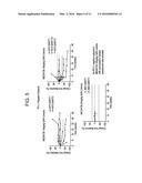 COMBINATION THERAPY FOR PD-L1 NEGATIVE TUMORS diagram and image