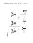 SITE-SPECIFIC GLYCOENGINEERING OF TARGETING MOIETIES diagram and image