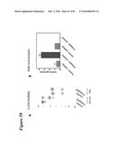 SITE-SPECIFIC GLYCOENGINEERING OF TARGETING MOIETIES diagram and image