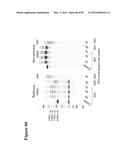 SITE-SPECIFIC GLYCOENGINEERING OF TARGETING MOIETIES diagram and image