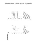 SITE-SPECIFIC GLYCOENGINEERING OF TARGETING MOIETIES diagram and image