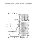 Coryneform Bacterium and Method for Producing Heterologous Fusion Proteins diagram and image