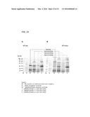 Coryneform Bacterium and Method for Producing Heterologous Fusion Proteins diagram and image