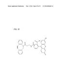 Coryneform Bacterium and Method for Producing Heterologous Fusion Proteins diagram and image