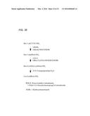 Coryneform Bacterium and Method for Producing Heterologous Fusion Proteins diagram and image