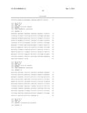 Coryneform Bacterium and Method for Producing Heterologous Fusion Proteins diagram and image