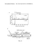 METHODS AND COMPOSITIONS FOR RNA-DIRECTED TARGET DNA MODIFICATION AND FOR     RNA-DIRECTED MODULATION OF TRANSCRIPTION diagram and image