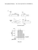 METHODS AND COMPOSITIONS FOR RNA-DIRECTED TARGET DNA MODIFICATION AND FOR     RNA-DIRECTED MODULATION OF TRANSCRIPTION diagram and image