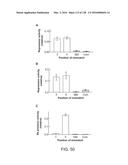 METHODS AND COMPOSITIONS FOR RNA-DIRECTED TARGET DNA MODIFICATION AND FOR     RNA-DIRECTED MODULATION OF TRANSCRIPTION diagram and image