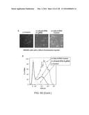 METHODS AND COMPOSITIONS FOR RNA-DIRECTED TARGET DNA MODIFICATION AND FOR     RNA-DIRECTED MODULATION OF TRANSCRIPTION diagram and image