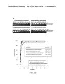 METHODS AND COMPOSITIONS FOR RNA-DIRECTED TARGET DNA MODIFICATION AND FOR     RNA-DIRECTED MODULATION OF TRANSCRIPTION diagram and image