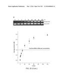 METHODS AND COMPOSITIONS FOR RNA-DIRECTED TARGET DNA MODIFICATION AND FOR     RNA-DIRECTED MODULATION OF TRANSCRIPTION diagram and image