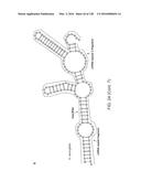 METHODS AND COMPOSITIONS FOR RNA-DIRECTED TARGET DNA MODIFICATION AND FOR     RNA-DIRECTED MODULATION OF TRANSCRIPTION diagram and image