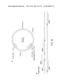 METHODS AND COMPOSITIONS FOR RNA-DIRECTED TARGET DNA MODIFICATION AND FOR     RNA-DIRECTED MODULATION OF TRANSCRIPTION diagram and image