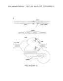 METHODS AND COMPOSITIONS FOR RNA-DIRECTED TARGET DNA MODIFICATION AND FOR     RNA-DIRECTED MODULATION OF TRANSCRIPTION diagram and image