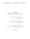 METHODS AND COMPOSITIONS FOR RNA-DIRECTED TARGET DNA MODIFICATION AND FOR     RNA-DIRECTED MODULATION OF TRANSCRIPTION diagram and image