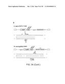 METHODS AND COMPOSITIONS FOR RNA-DIRECTED TARGET DNA MODIFICATION AND FOR     RNA-DIRECTED MODULATION OF TRANSCRIPTION diagram and image