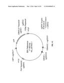 COMPOSITIONS AND METHODS TO TREAT LATENT VIRAL INFECTIONS diagram and image