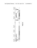 COMPOSITIONS AND METHODS TO TREAT LATENT VIRAL INFECTIONS diagram and image