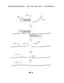 COMPOSITIONS AND METHODS TO TREAT LATENT VIRAL INFECTIONS diagram and image