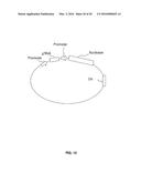 COMPOSITIONS AND METHODS TO TREAT LATENT VIRAL INFECTIONS diagram and image