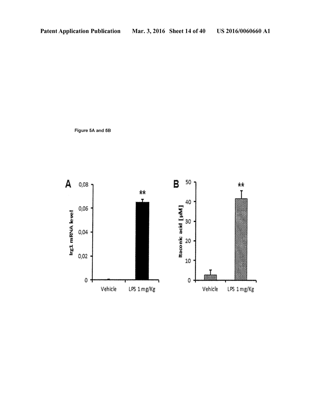 BIOTECHNOLOGICAL PRODUCTION OF ITACONIC ACID - diagram, schematic, and image 15