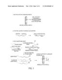 MULTIPLEXED ANALYSIS OF TARGET NUCLEIC ACIDS diagram and image