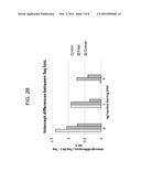 NORMALIZATION OF POLYMERASE ACTIVITY diagram and image