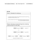 STRATEGIES FOR HIGH THROUGHPUT IDENTIFICATION AND DETECTION OF     POLYMORPHISMS diagram and image