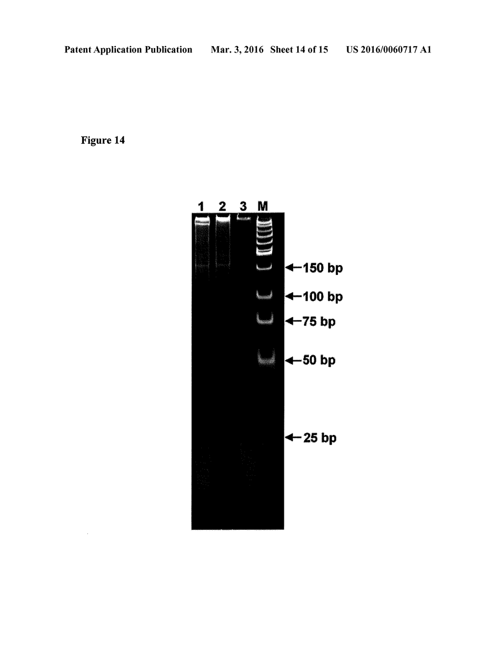 Amplification and Sequencing of Transrenal Nucleic Acids - diagram, schematic, and image 15