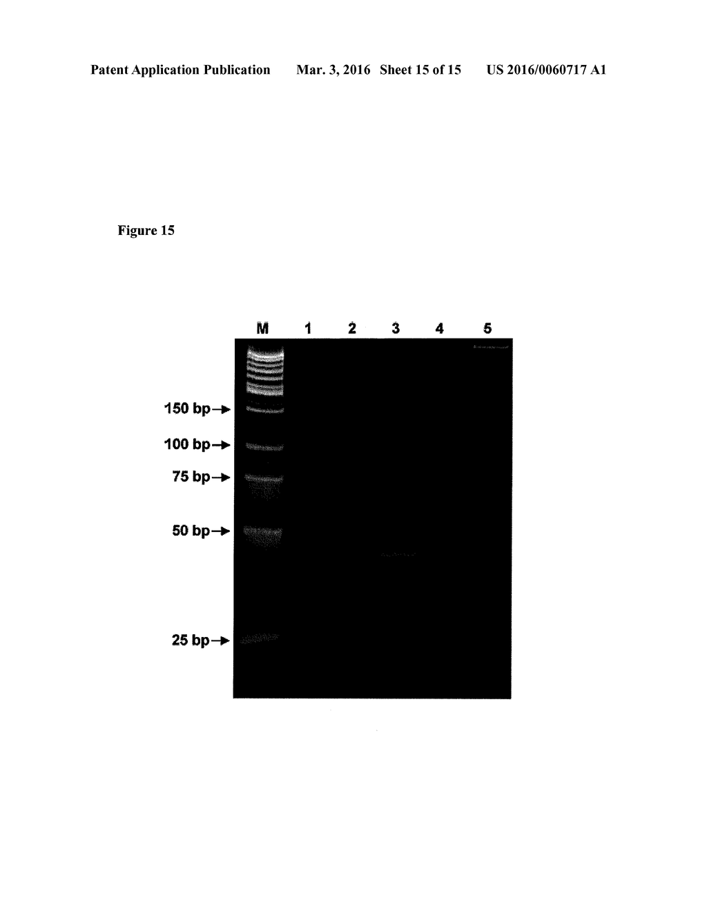 Amplification and Sequencing of Transrenal Nucleic Acids - diagram, schematic, and image 16