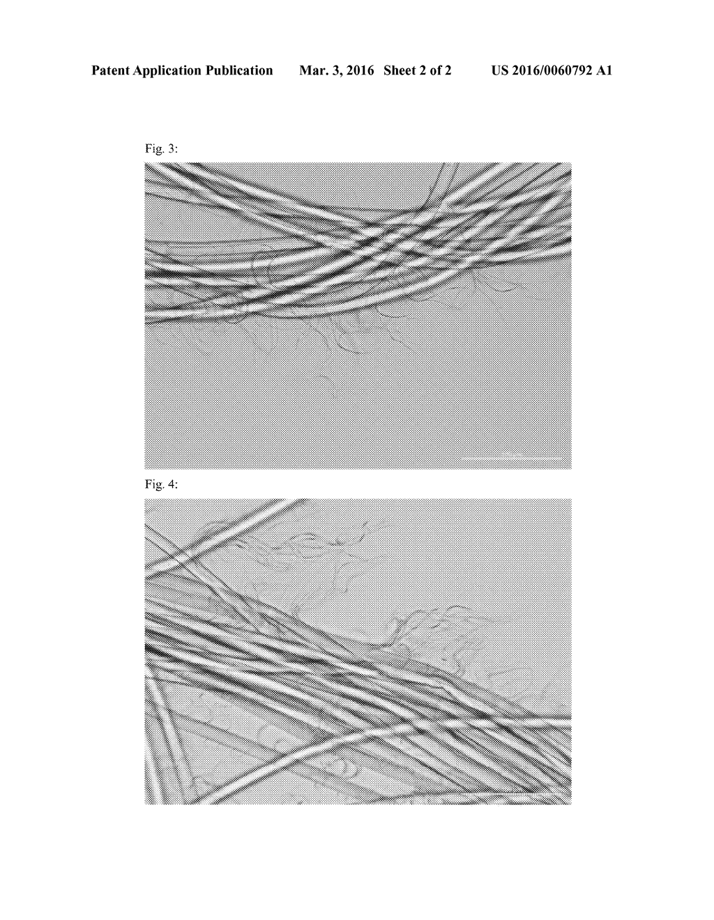 POLYSACCHARIDE FIBERS WITH AN INCREASED FIBRILLATION TENDENCY AND METHOD     FOR THE PRODUCTION THEREOF - diagram, schematic, and image 03