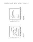 APPARATUS AND METHODS FOR CELLULAR ANALYSIS diagram and image