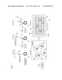 FLUORESCENCE DETECTION APPARATUS, TEST SUBSTANCE DETECTION APPARATUS, AND     FLUORESCENCE DETECTION METHOD diagram and image