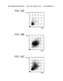 SAMPLE ANALYZER AND SAMPLE ANALYZING METHOD diagram and image