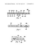 FACILITATING PROCESSING WITHIN COMPUTING ENVIRONMENTS SUPPORTING PAGEABLE     GUESTS diagram and image