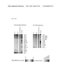 SYSTEM FOR PREDICTING PROGNOSIS OF LOCALLY ADVANCED GASTRIC CANCER diagram and image