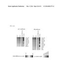 SYSTEM FOR PREDICTING PROGNOSIS OF LOCALLY ADVANCED GASTRIC CANCER diagram and image