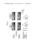 IMAGE ANALYSIS APPARATUS, IMAGE ANALYSIS METHOD, AND IMAGE ANALYSIS     PROGRAM diagram and image