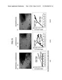 IMAGE ANALYSIS APPARATUS, IMAGE ANALYSIS METHOD, AND IMAGE ANALYSIS     PROGRAM diagram and image