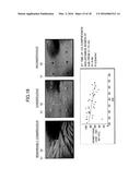 IMAGE ANALYSIS APPARATUS, IMAGE ANALYSIS METHOD, AND IMAGE ANALYSIS     PROGRAM diagram and image