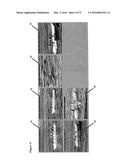 METHOD FOR SELECTING FRAMES FROM VIDEO SEQUENCES BASED ON INCREMENTAL     IMPROVEMENT diagram and image